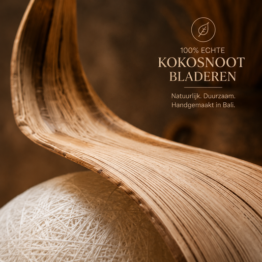 Handgemaakte Kokoslamp