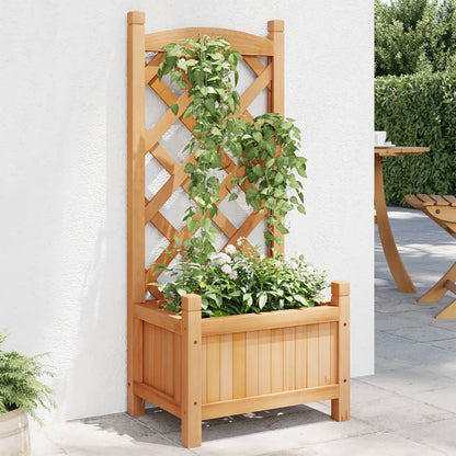 Houten Plantenbak met Klimrek – Tuin Plantenbak met Trellis