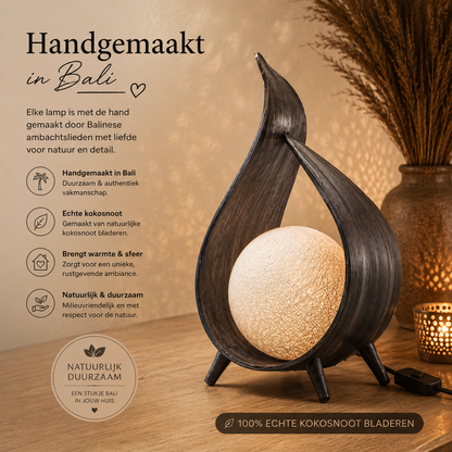 Handgemaakte Kokoslamp