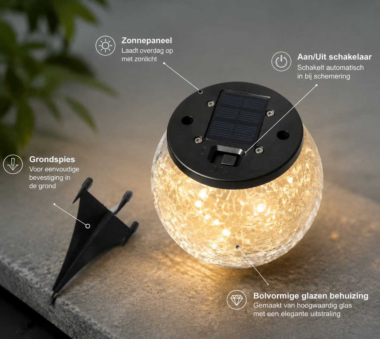Bolvormige Buitenlamp