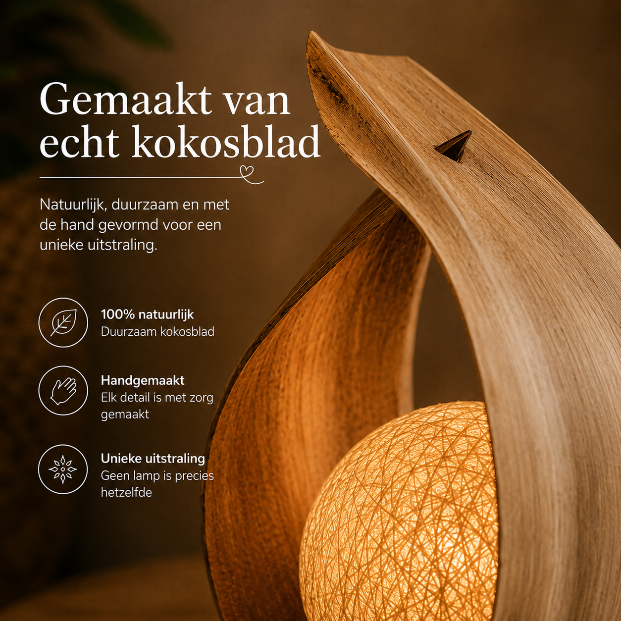 Handgemaakte Kokoslamp
