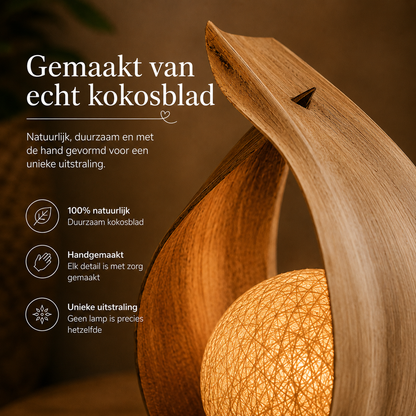 Handgemaakte Kokoslamp